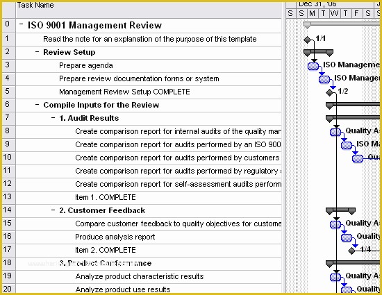 Iso 9001 forms Templates Free Of Download iso 9001 Management Review for Microsoft Fice