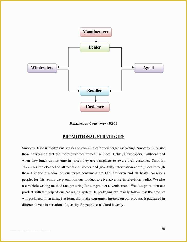 Juice Bar Business Plan Template Free Of Juice Bar Business Plan Pdf Narene