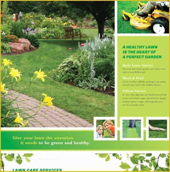 Lawn Service Template Free Of 29 Lawn Care Flyers Psd Ai Vector Eps