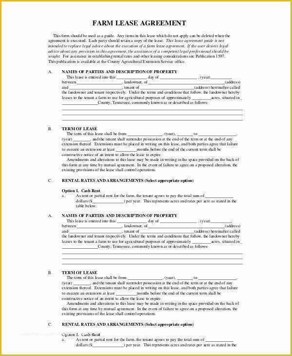 Lease Template Free Download Of Blank Rental Agreement 9 Free Word Pdf Documents