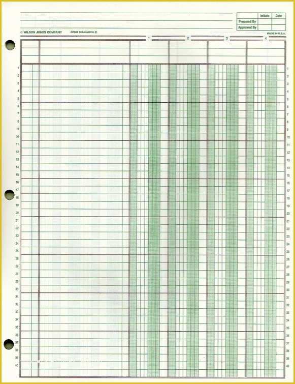 Ledger Sheet Template Free Of General Ledger Template