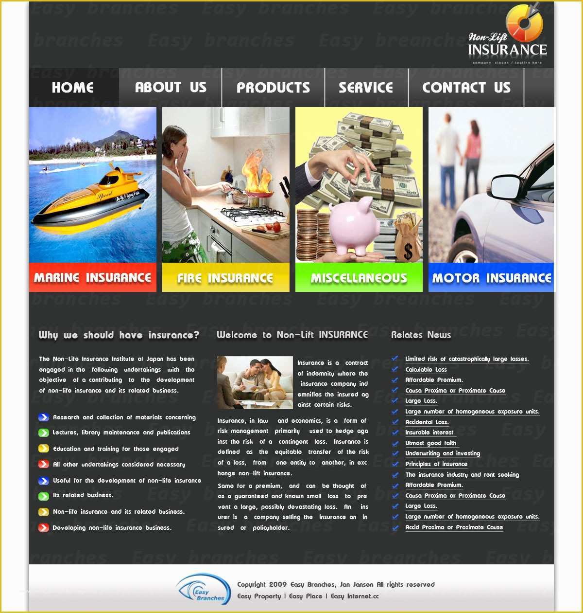 Life Insurance Website Templates Free Download Of Templates Design for Insurance Websites