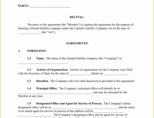 Llc Partnership Agreement Template Free Download Of Download Single Member Llc Operating Agreement Template