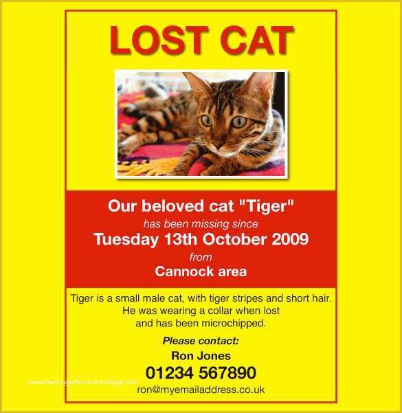 Lost Cat Poster Template Free Of 20 Lost Pet Flyers Word Psd Ai Vector Eps