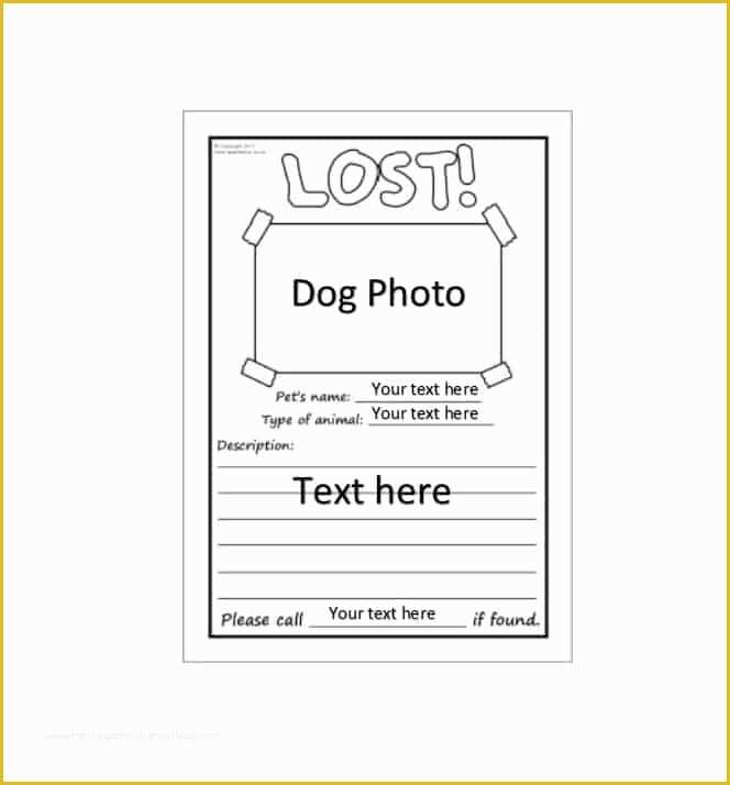 Lost Cat Poster Template Free Of 40 Lost Pet Flyers [missing Cat Dog Poster] Template