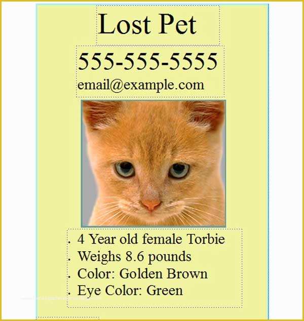Lost Cat Poster Template Free Of Free Pet Lost Flyer Template Free Line Flyers