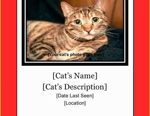 Lost Cat Poster Template Free Of Lost Cat Flyer &amp; Poster Templates Free Downloads