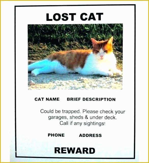 Lost Cat Poster Template Free Of Missing Animal Flyer Template Lost Cat Poster Template How