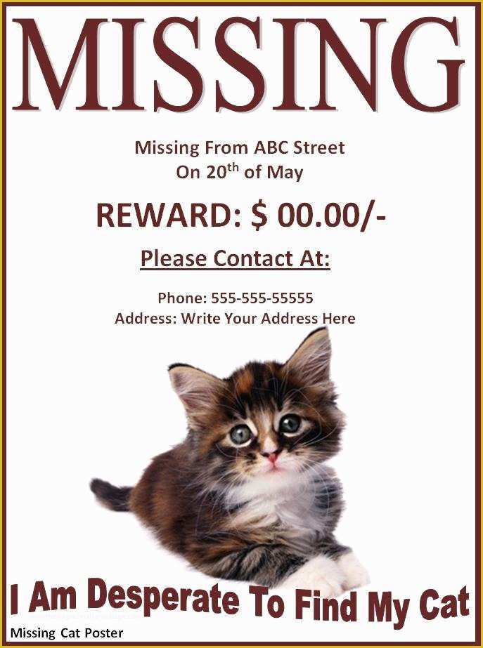 Lost Cat Poster Template Free Of Free Pet Lost Flyer Template Free Line