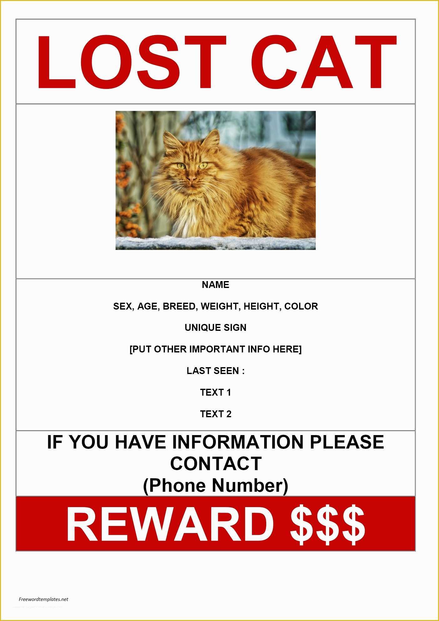 Lost Cat Poster Template Free Of Missing Flyer Template Yourweek