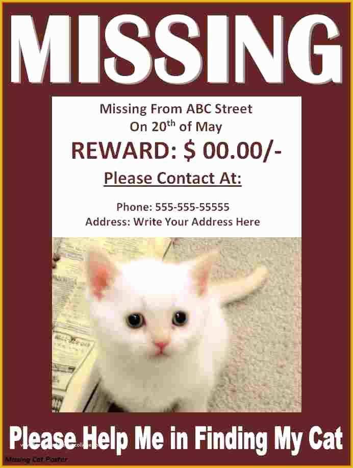 Lost Cat Poster Template Free Of Missing Poster Template
