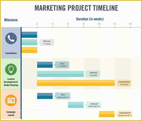Marketing Plan Excel Template Free Download Of 10 Sample Marketing Timeline Templates to Download