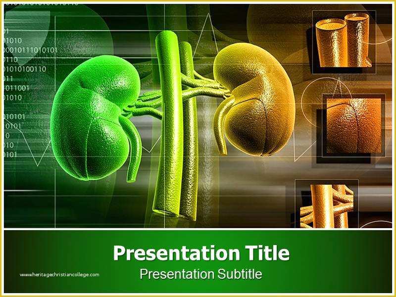 Master Templates for Fcp 7 Free Download Of Kidney Transplant Ppt Templates Powerpoint themes Backgrounds