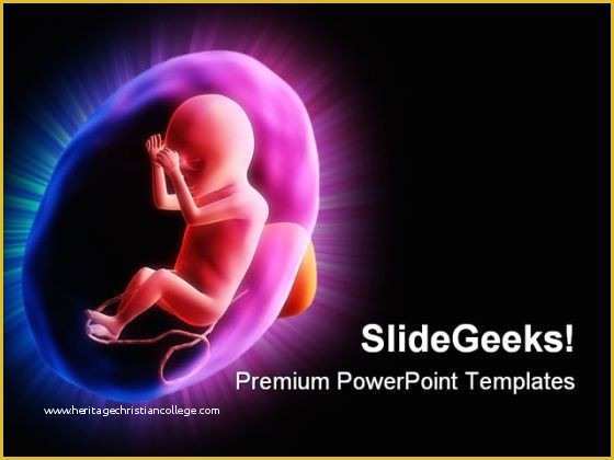 Medical Powerpoint Templates Free Download 2017 Of Fetus Powerpoint Template Human Fetus Medical Powerpoint