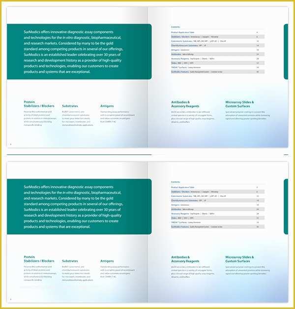 Medication Brochure Templates Free Of 7 Drug Brochures