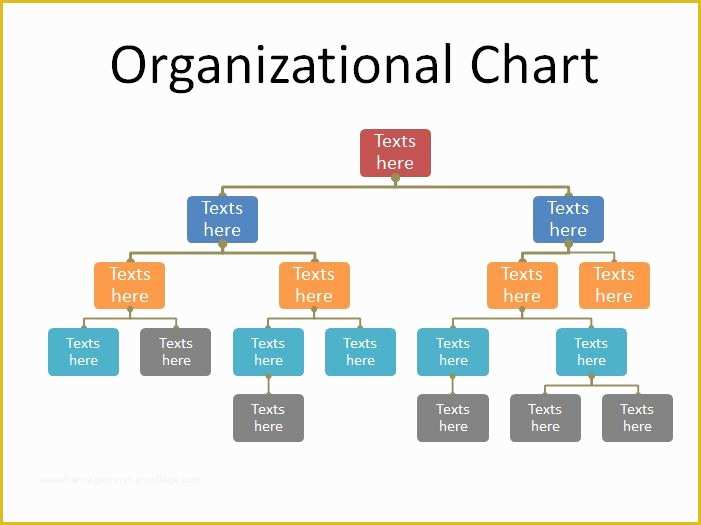 Microsoft organizational Chart Template Free Of 40 organizational Chart Templates Word Excel Powerpoint