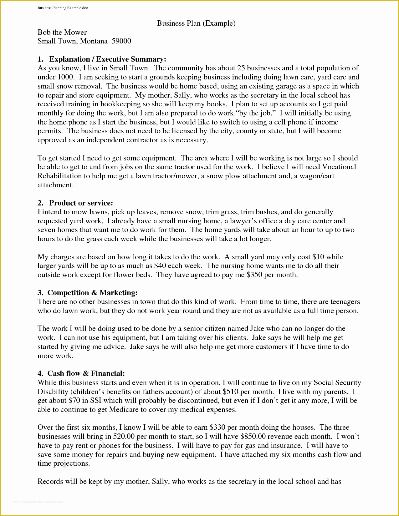 Mini Business Plan Template Free Of Printable Sample Business Plan Sample form