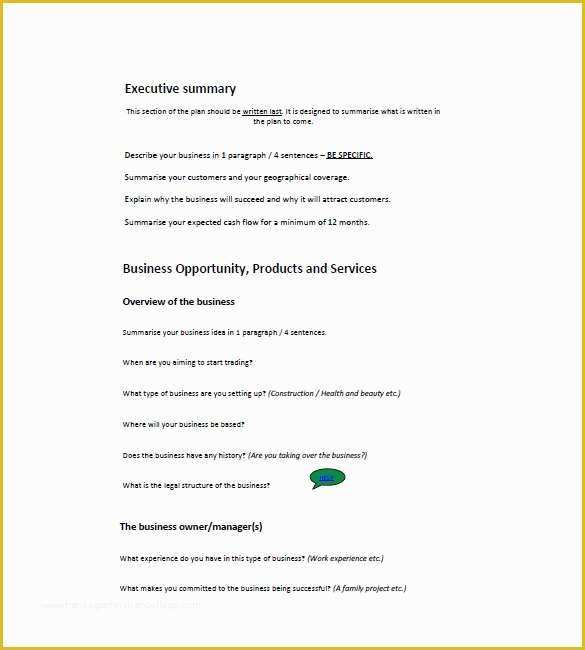 Mini Business Plan Template Free Of Small Business Plan Template 15 Word Excel Pdf Google