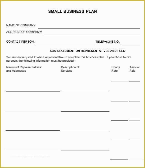 Mini Business Plan Template Free Of Startup Plan Template Personal Startup Business Plan