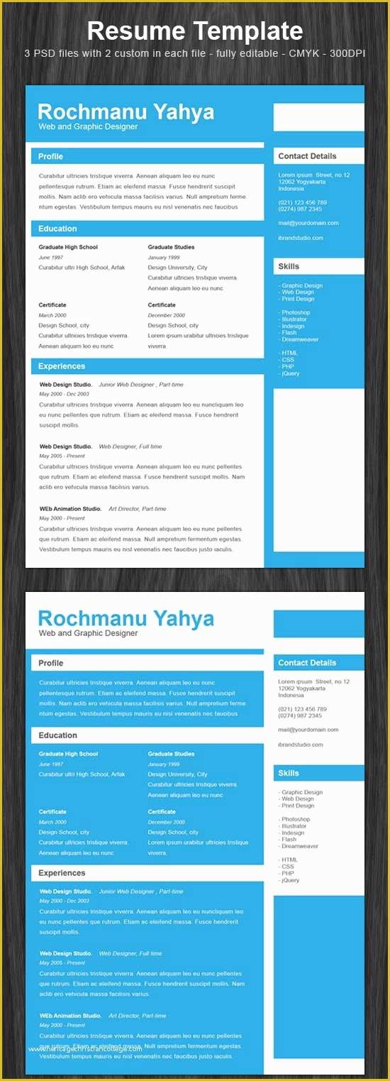 Minimalist Resume Template Free Download Of 10 Free Download Cv Resume Template All Wordpress themes