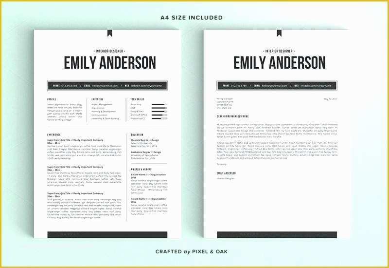 Minimalist Resume Template Free Download Of Nunoassis