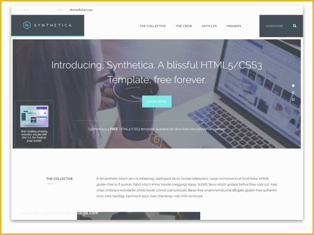Mobile Compatible Website Template Free Download Of 100 Free Bootstrap HTML5 Templates for Responsive Sites