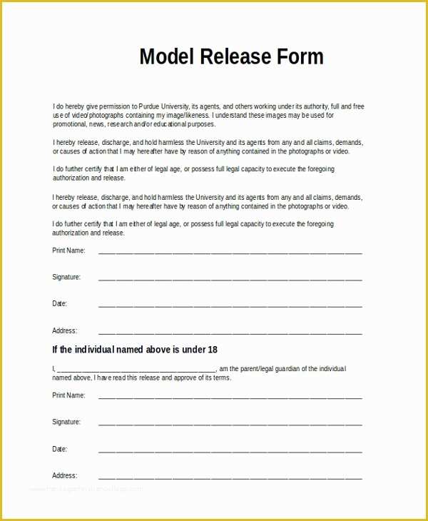 Model Release Template Free Of 9 Sample Model Release forms