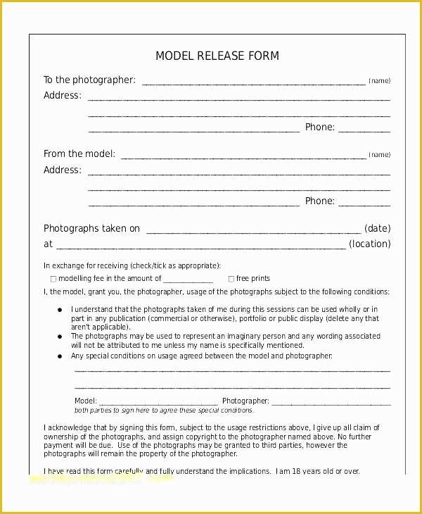 Model Release Template Free Of Graphy Model Release Template Graphy Model