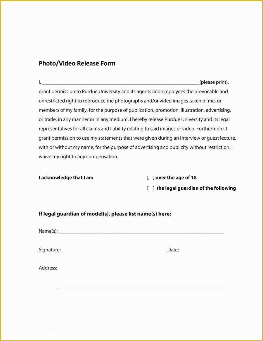 Model Release Template Free Of Lovely Free Model Release form Template