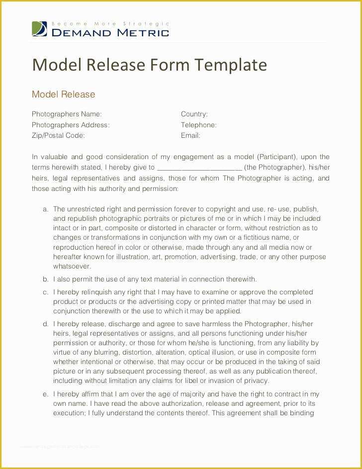 Model Release Template Free Of Model Release form Template