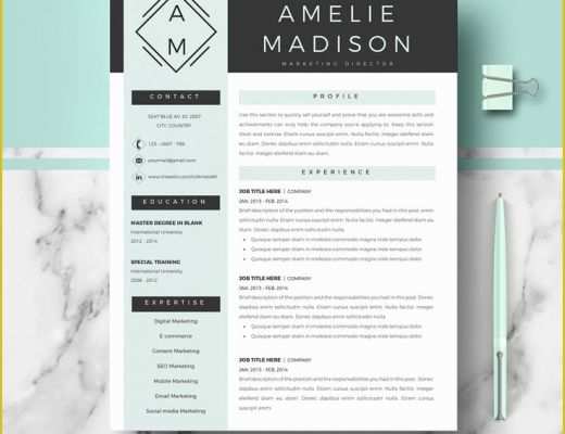 Modern Curriculum Vitae Template Free Of 19 Best Minimalist Resume Cv Templates Images On