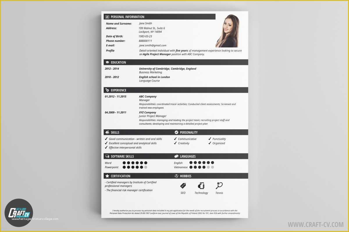 Modern Curriculum Vitae Template Free Of Cv Maker Professional Cv Examples