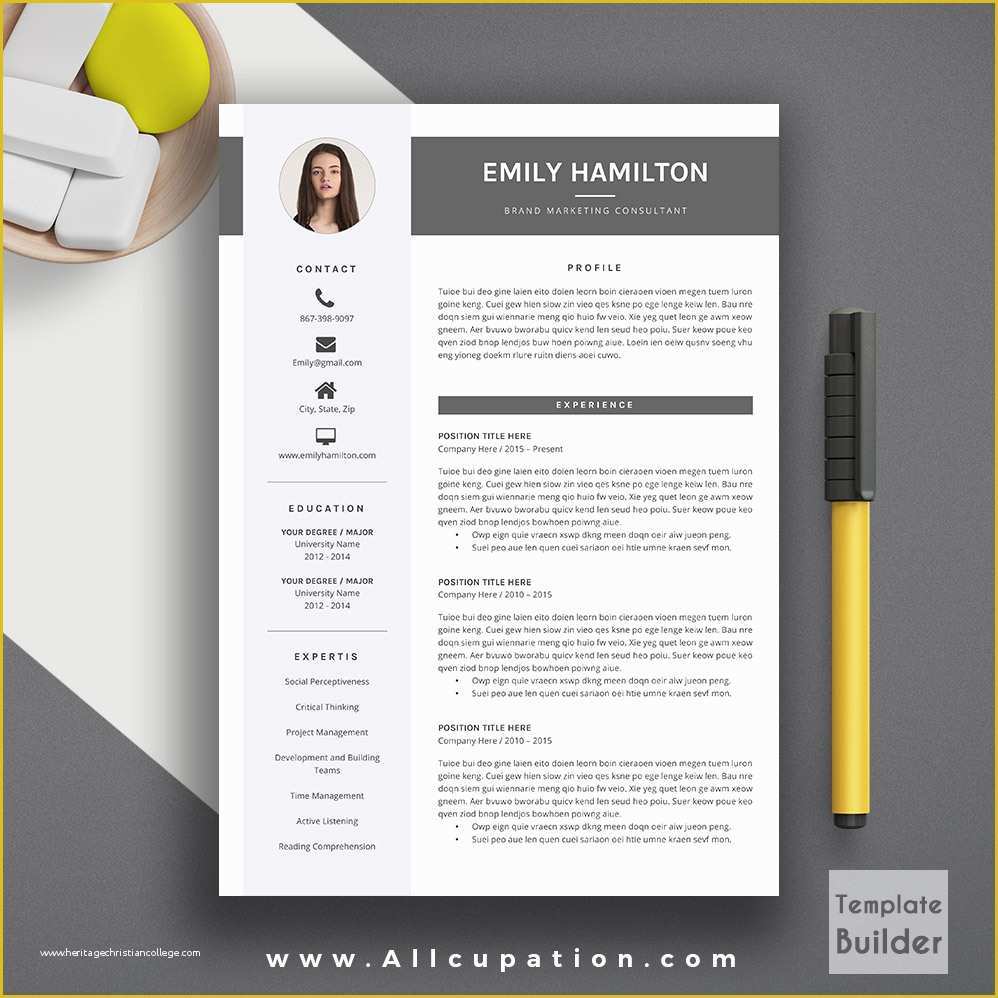 Modern Curriculum Vitae Template Free Of Modele Cv Word Gratuit Moderne 2018