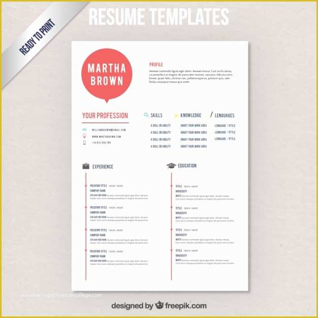 Modern Resume Template Free Download Of Modern Resume Template Vector