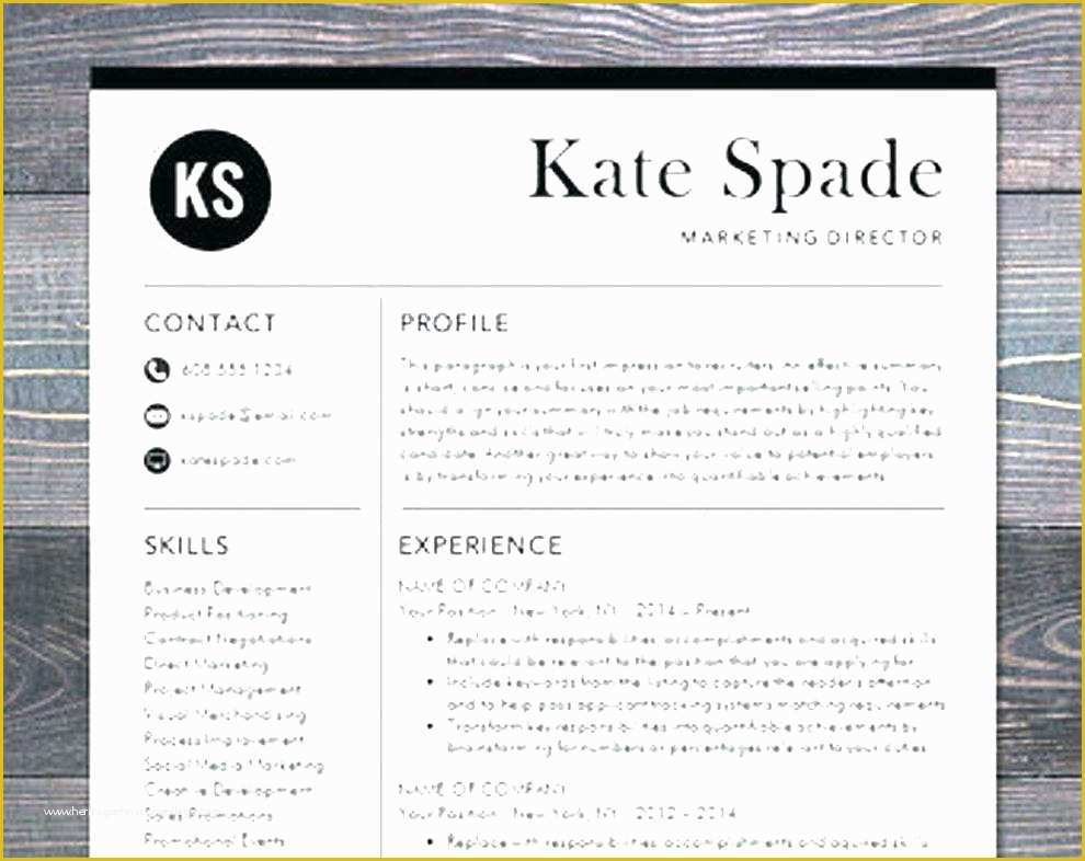 Modern Resume Template Free Download Of Template Free Download Professional Templates Word Simple