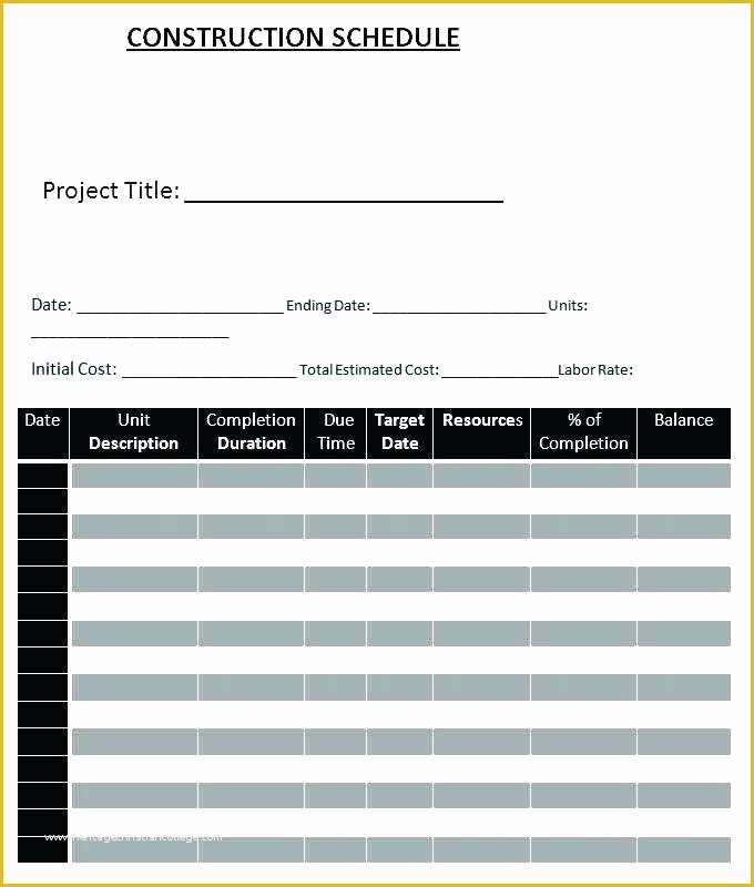 Ms Excel Project Plan Template Free Of Ms Project Schedule Template Project Timeline Template