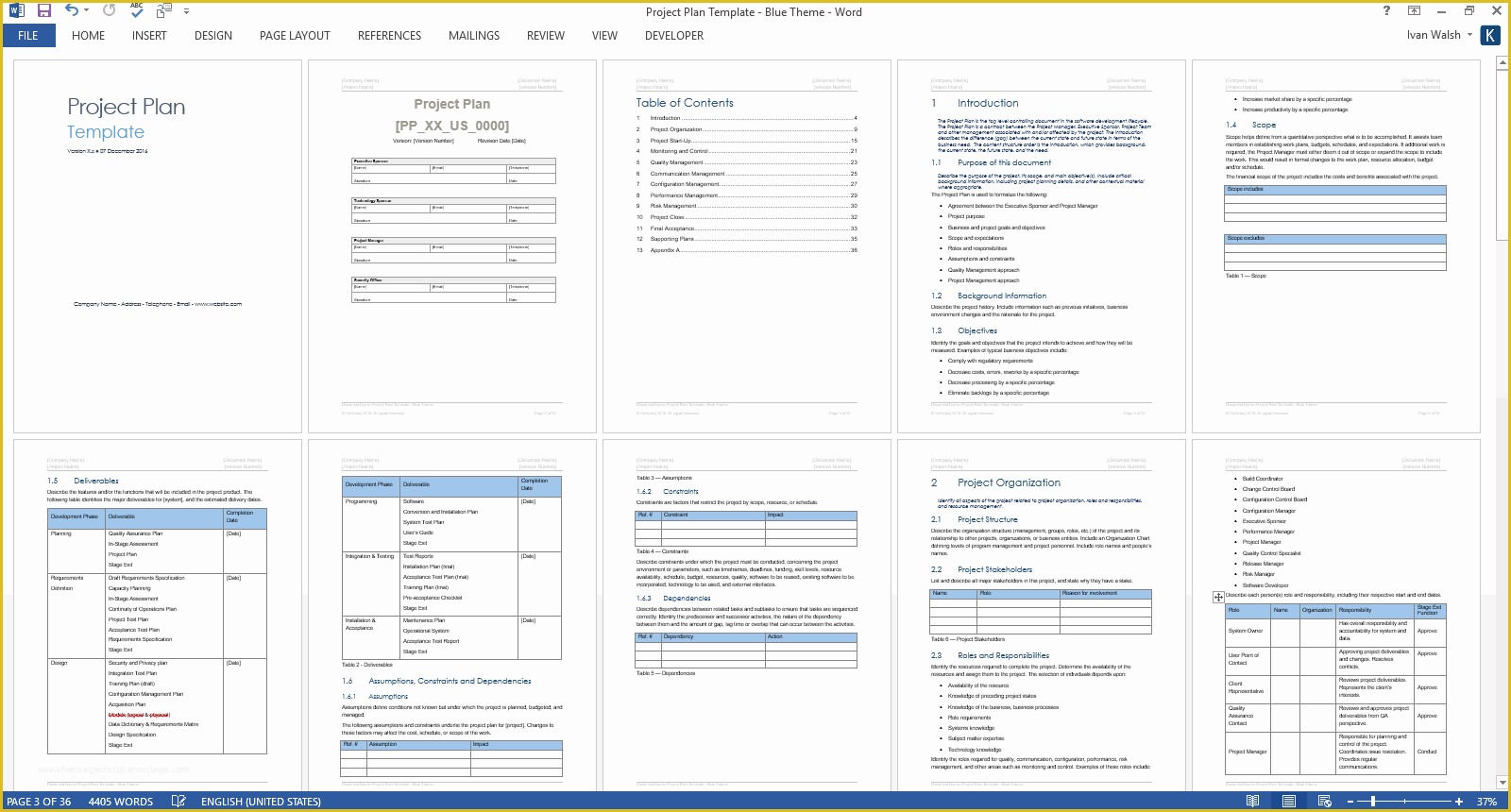 Ms Excel Project Plan Template Free Of Project Plan Template – Download Ms Word &amp; Excel forms