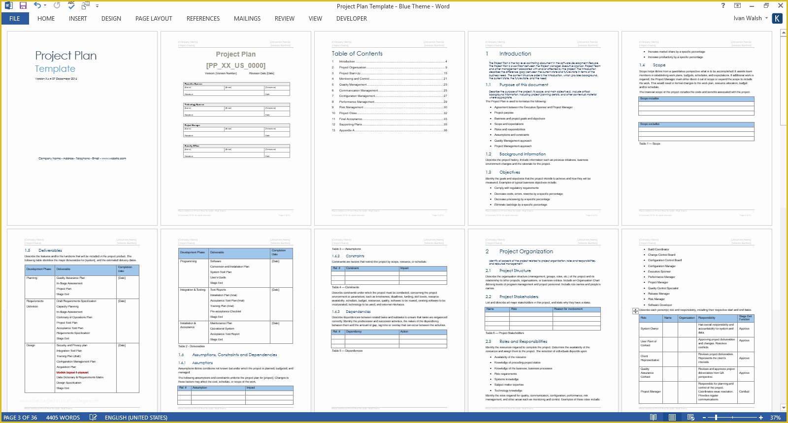 Ms Excel Project Plan Template Free Of Project Plan Template – Download Ms Word & Excel forms