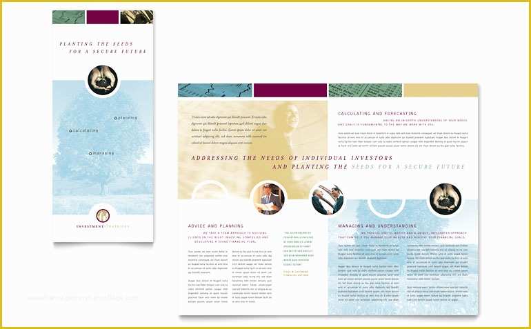 Ms Word Brochure Template Free Of Financial Consulting Tri Fold Brochure Template Word
