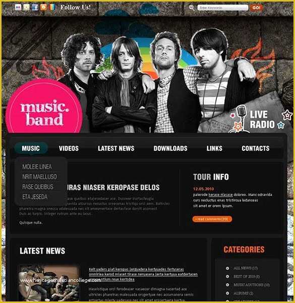 Music Website Template Free Of 60 Music Website themes &amp; Templates