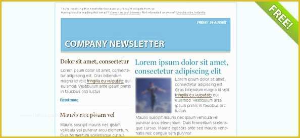 Newsletter Templates Email Free Of Blue Email Marketing Newsletter Template Free Psd Files