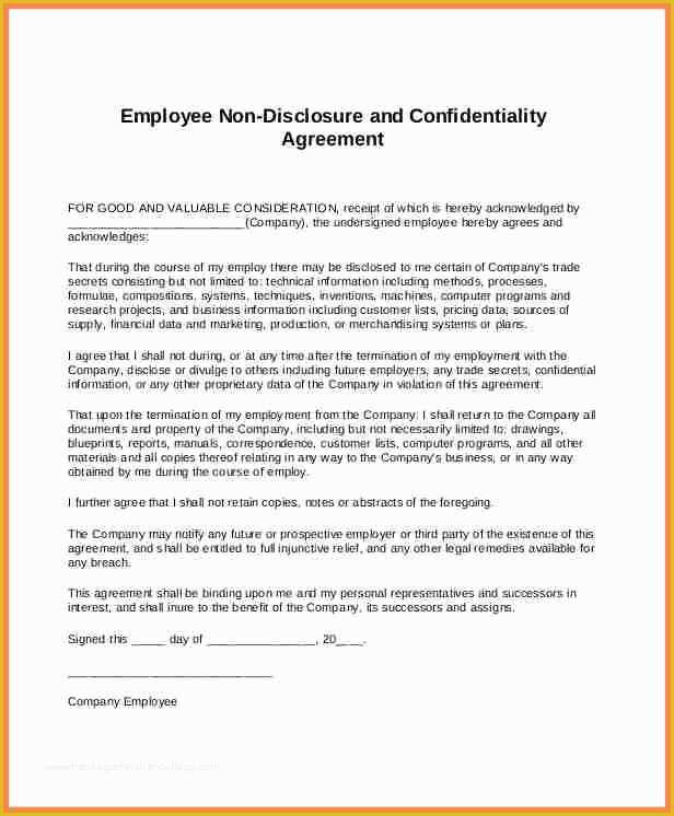 Non Disclosure Agreement Template Free Pdf Of 9 Financial Non Disclosure Agreement Template