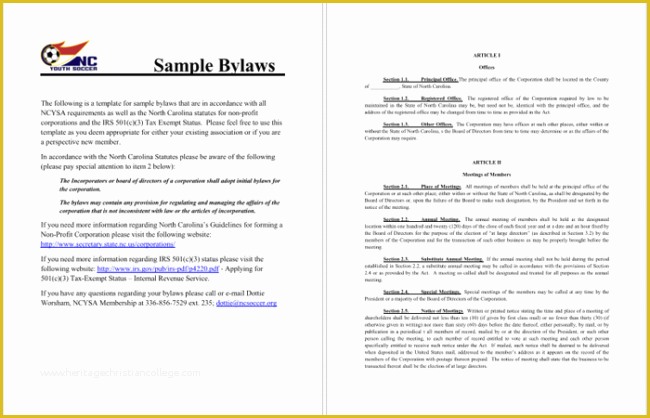 Non Profit bylaws Template Free Of 4 Free bylaws Templates to Help You Write bylaws In Best