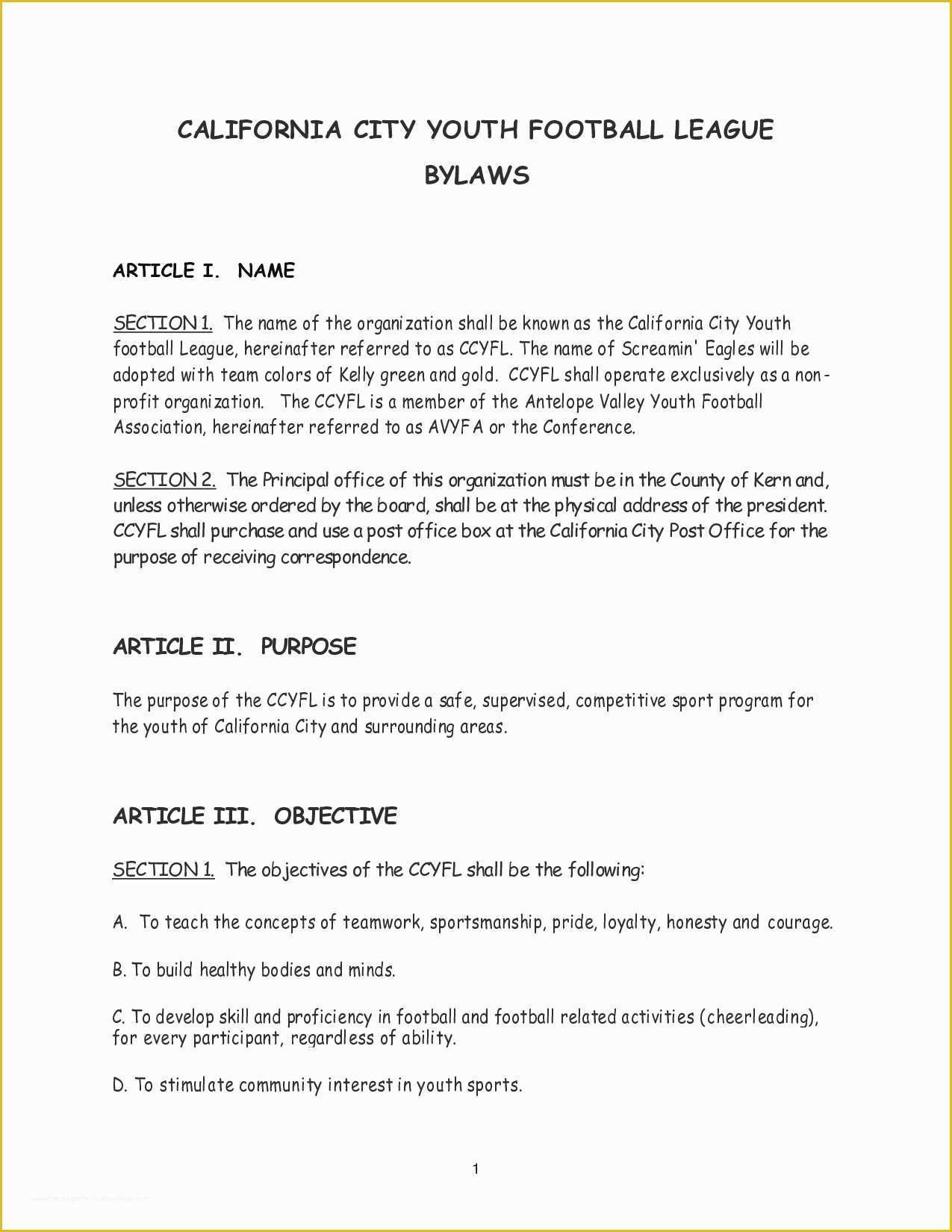 Non Profit bylaws Template Free Of Elegant bylaws Examples for Non Profit organization