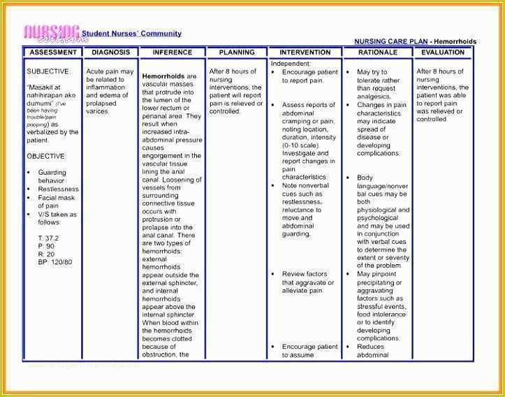 Nursing Templates Free Of 12 Nursing Care Plan format Template Ptere