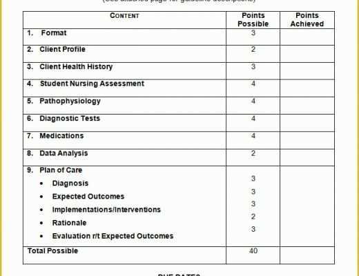 Nursing Templates Free Of Nursing Care Plan Templates 16 Free Word Excel Pdf