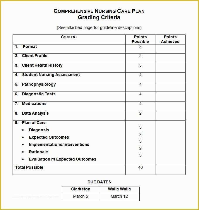 Nursing Templates Free Of Nursing Care Plan Templates 16 Free Word Excel Pdf