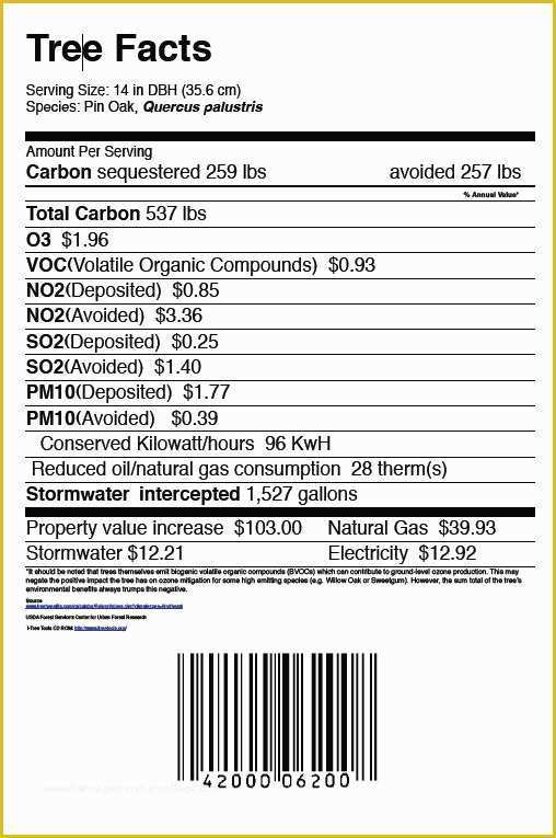 Nutrition Label Template Free Of Urban Natural Resources Institute Tree ‘nutrition