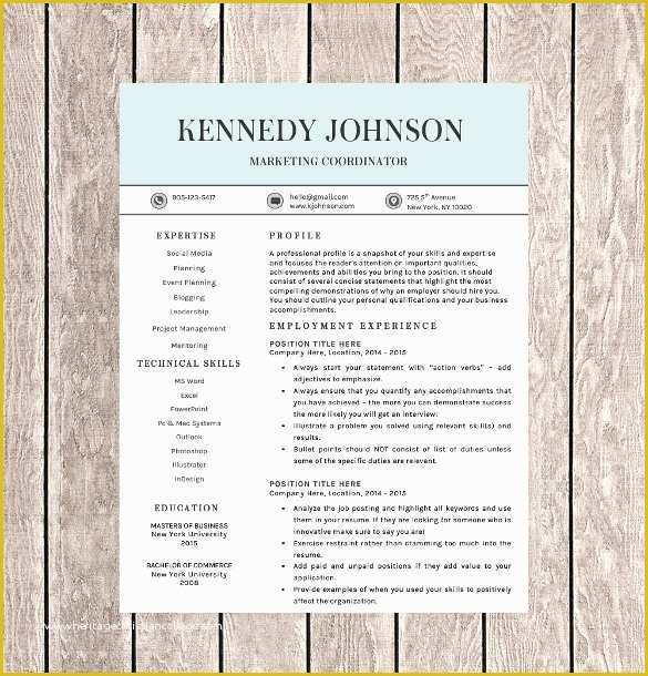 One Page Resume Template Free Of 41 E Page Resume Templates Free Samples Examples