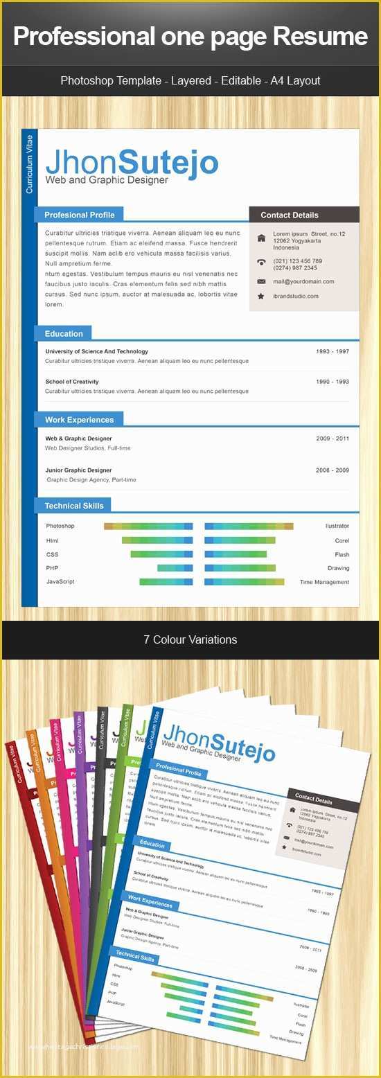 One Page Resume Template Free Of Free Resume Template Professional E Page Resume